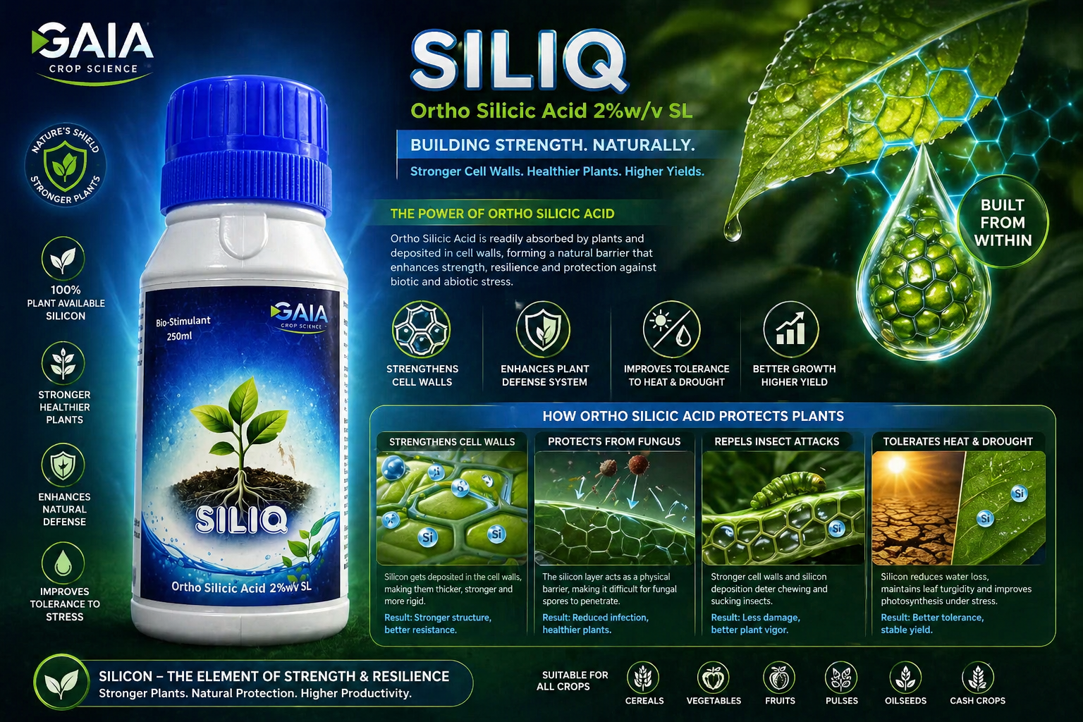 Humic Acid Fertilizer – Featured Product